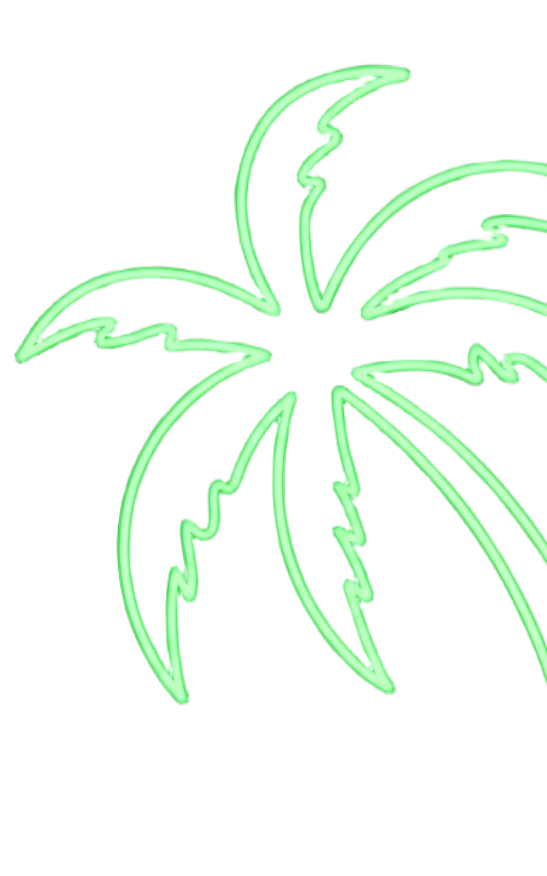 Feuille de palmier